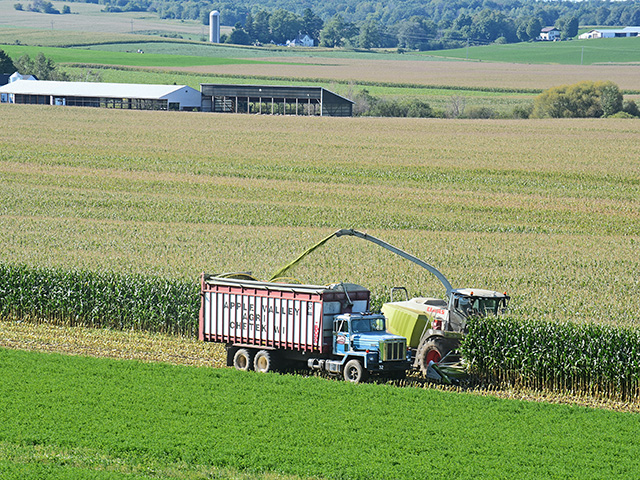 When silage is cut has a large effect on the nutrients in the feed, according to Allen Stateler, nutritionist for Nutrition Services Associates based in northeast Nebraska. (DTN/The Progressive Farmer file photo by Rick Mooney)